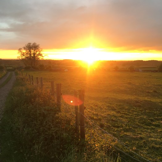 Scholar Green Sunset 16-05-17